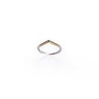ANILLOS PUNTA DE PLATA Y ORO