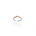 ANILLOS PUNTA DE PLATA Y ORO